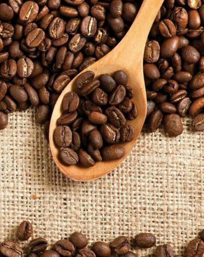 Arabica Gayo